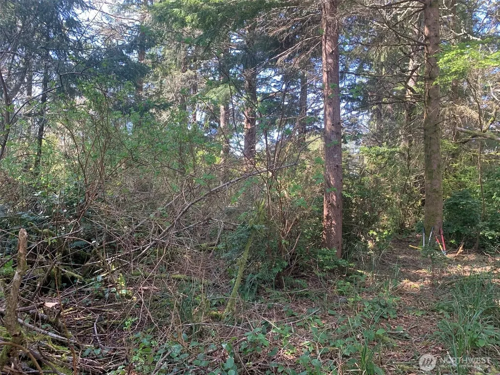 609 Weatherwax Ocean Shores WA 98569