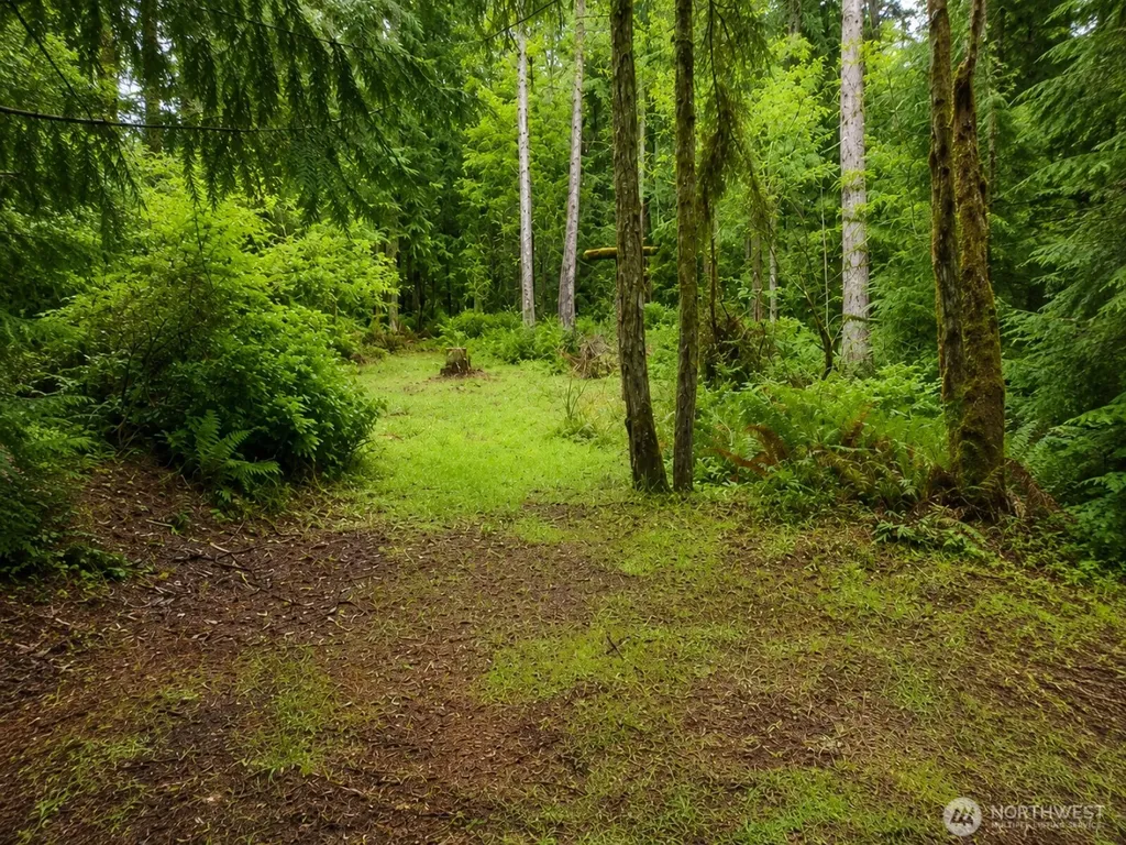 22 Xx E South Island Drive Shelton WA 98584