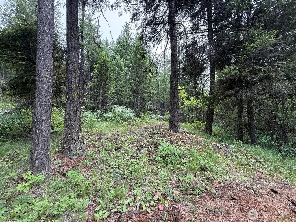 0 Mule Deer Road Republic WA 99166