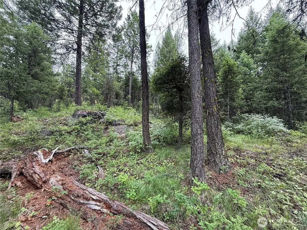 0 Mule Deer Road Republic WA 99166