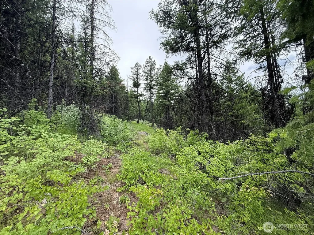 0 Mule Deer Road Republic WA 99166