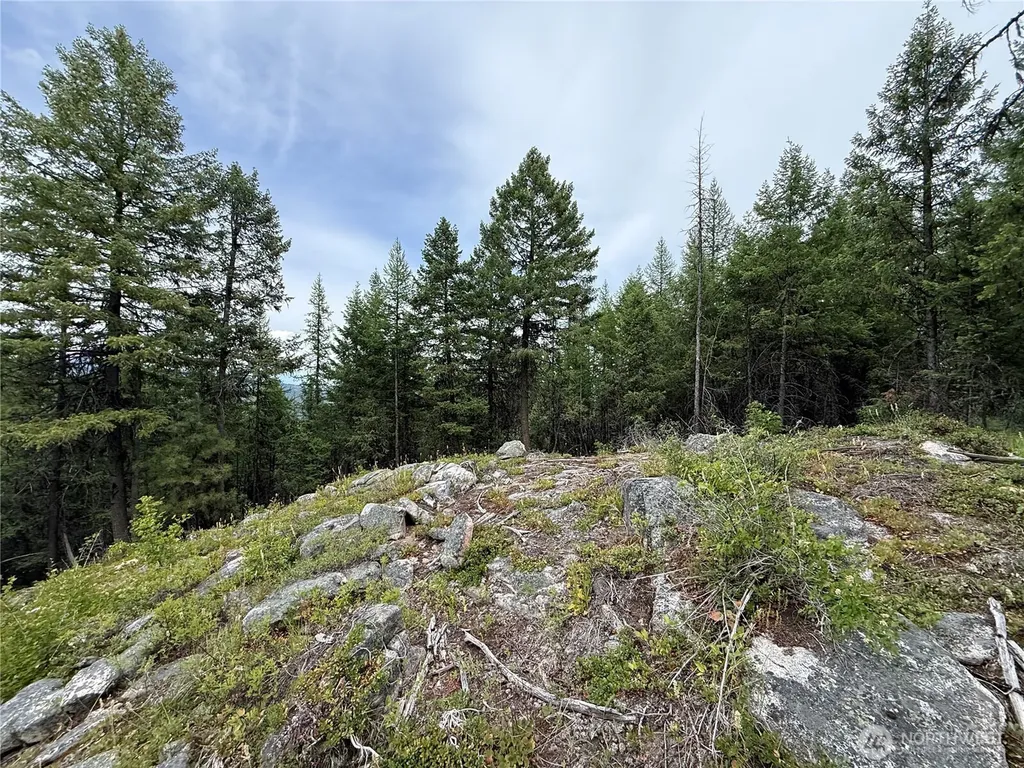 0 Mule Deer Road Republic WA 99166