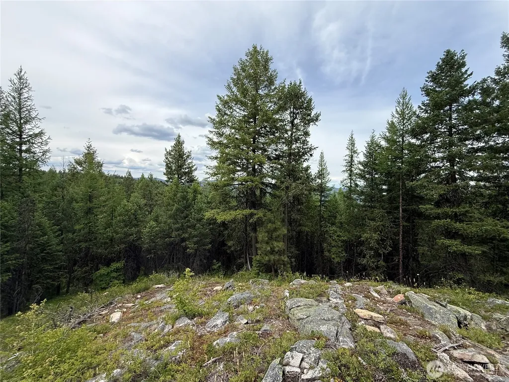 0 Mule Deer Road Republic WA 99166