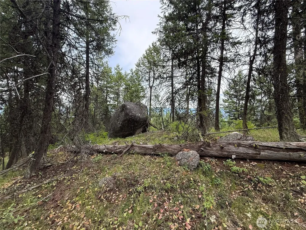 0 Mule Deer Road Republic WA 99166