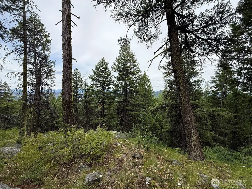 0 Mule Deer Road Republic WA 99166