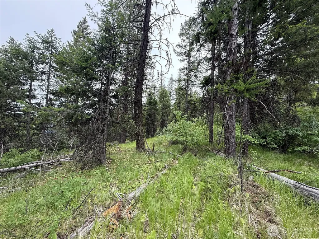 0 Mule Deer Road Republic WA 99166