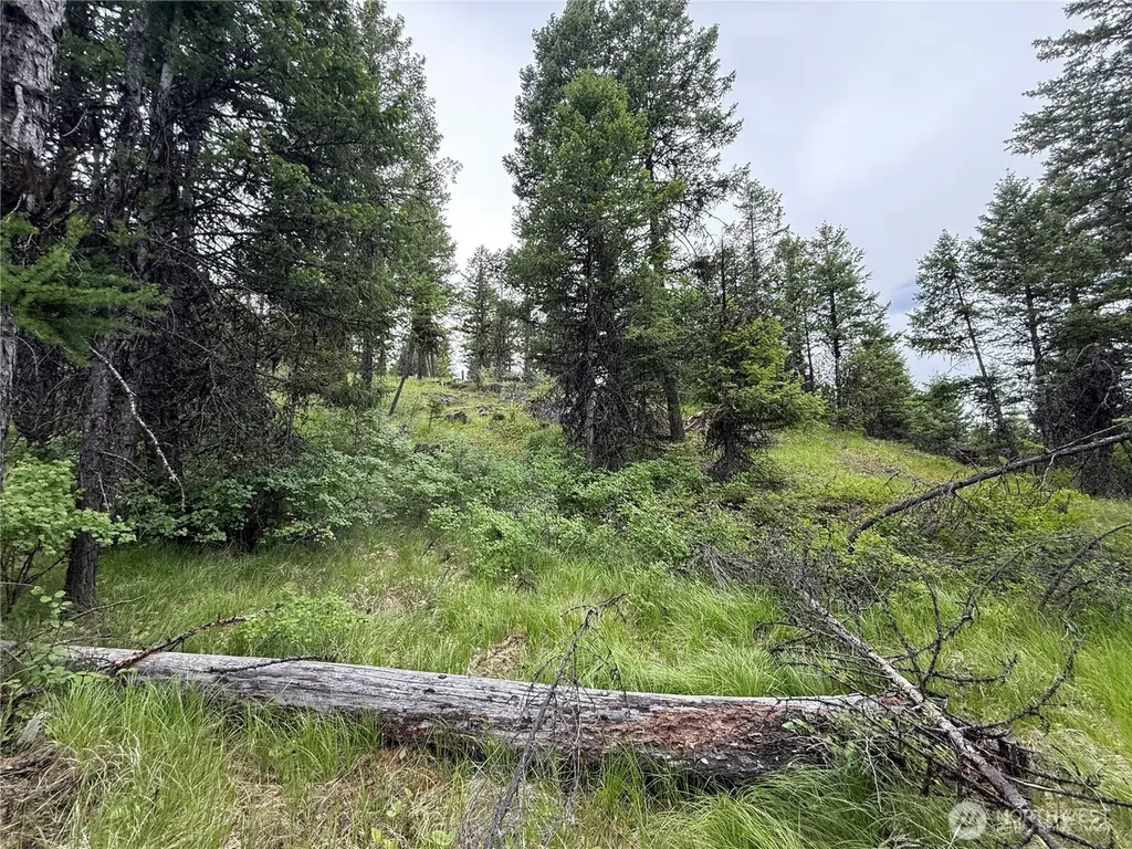 0 Mule Deer Road Republic WA 99166