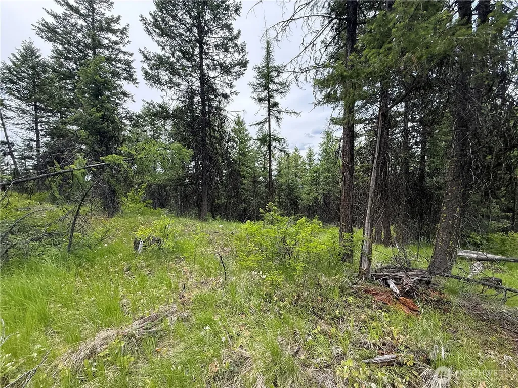 0 Mule Deer Road Republic WA 99166
