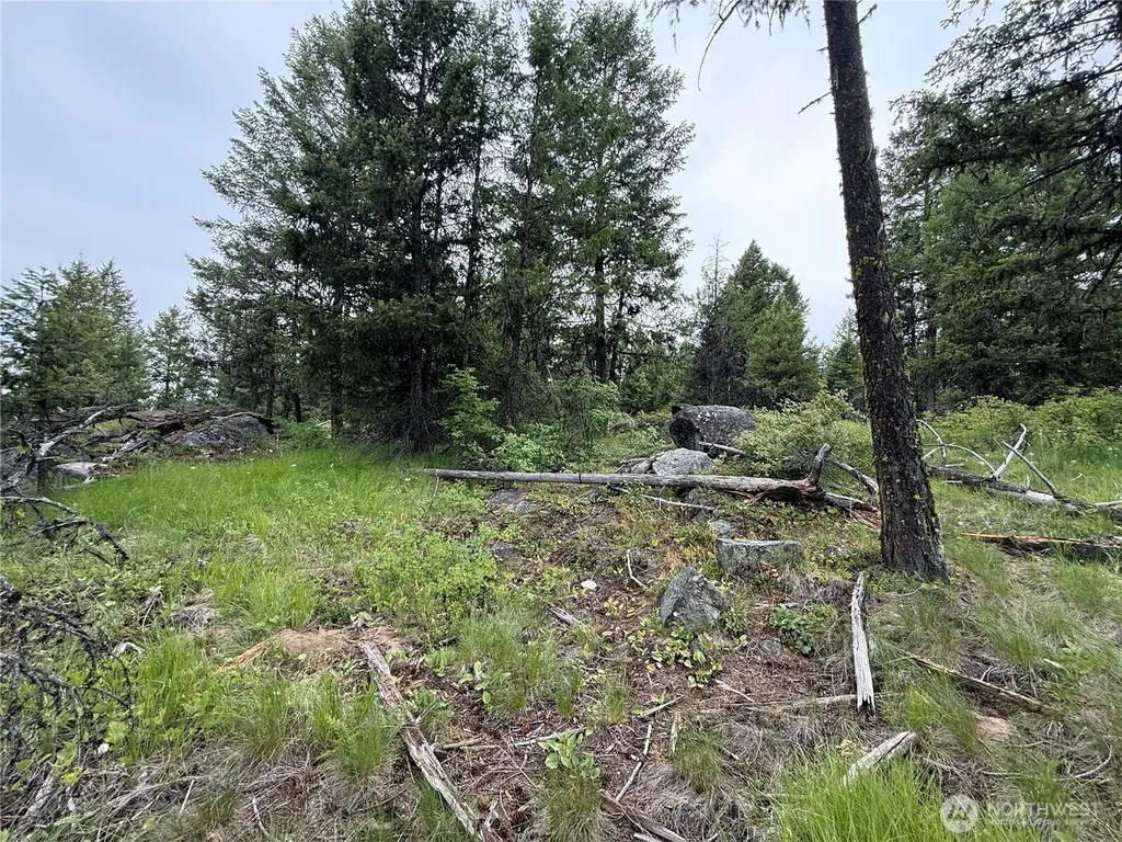 0 Mule Deer Road Republic WA 99166