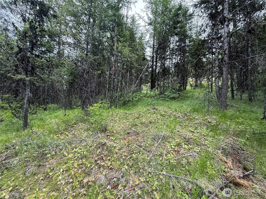 0 Mule Deer Road Republic WA 99166