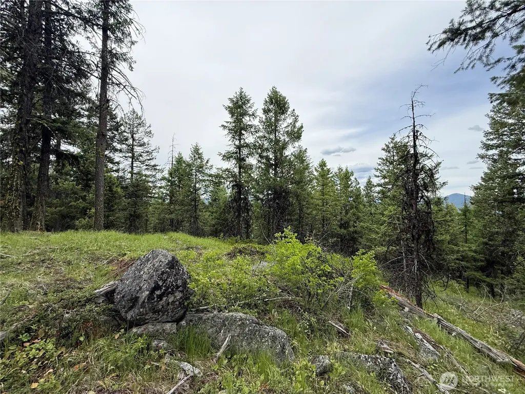 0 Mule Deer Road Republic WA 99166