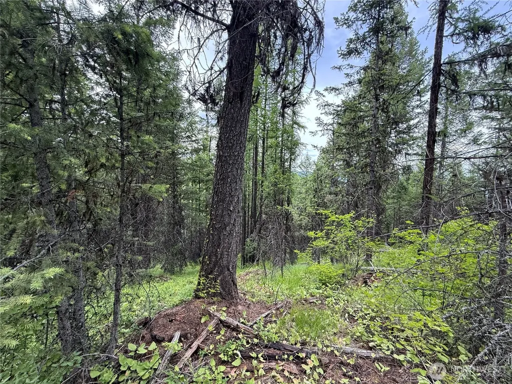 0 Mule Deer Road Republic WA 99166