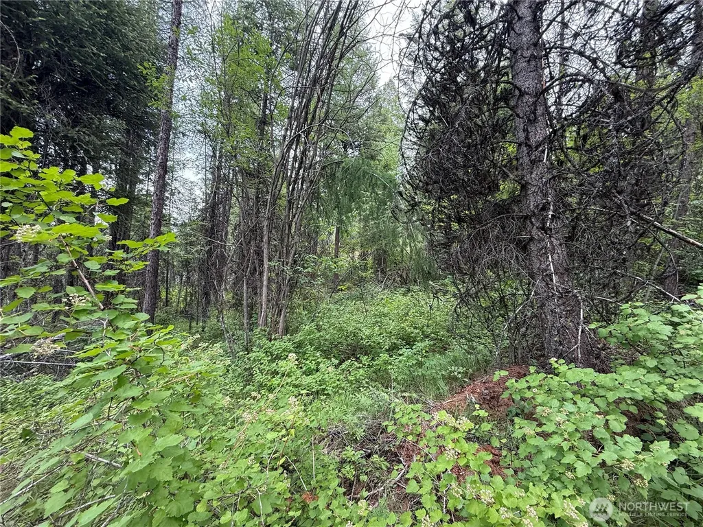 0 Mule Deer Road Republic WA 99166