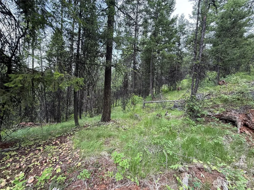 0 Mule Deer Road Republic WA 99166