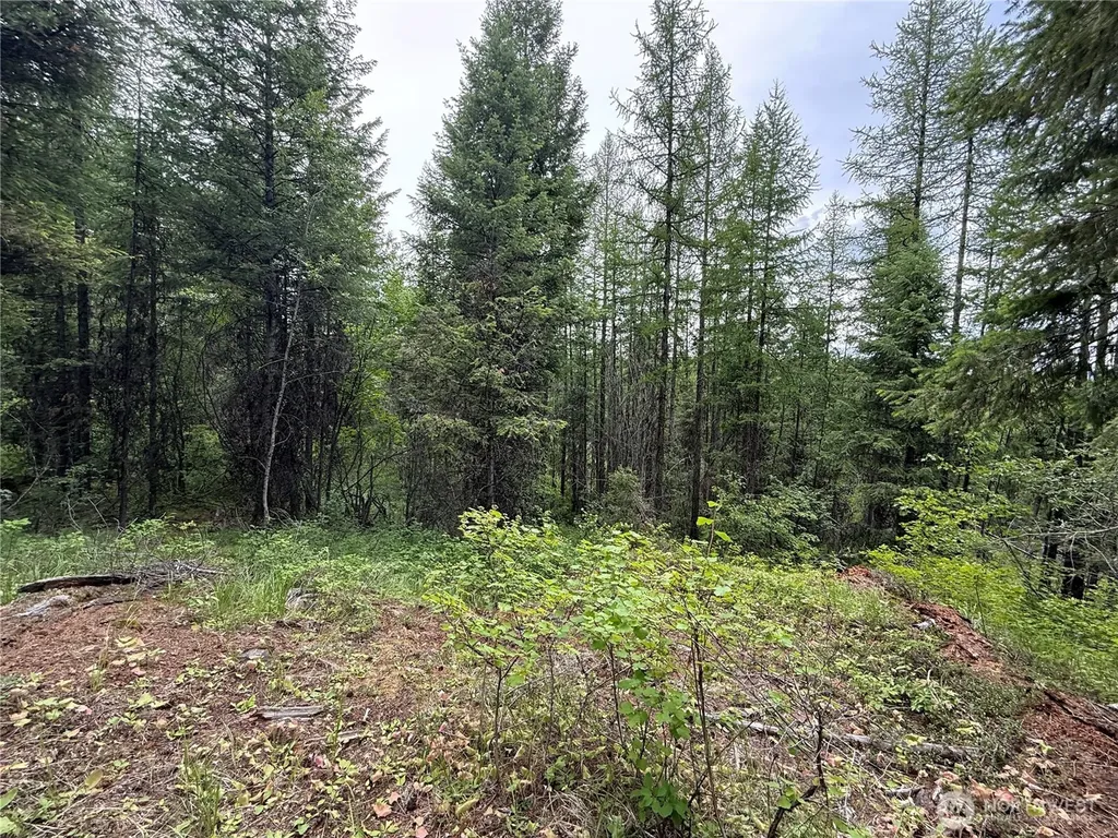 0 Mule Deer Road Republic WA 99166