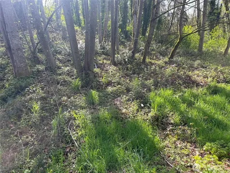 3911 SW Dash Point Road Federal Way WA 98023