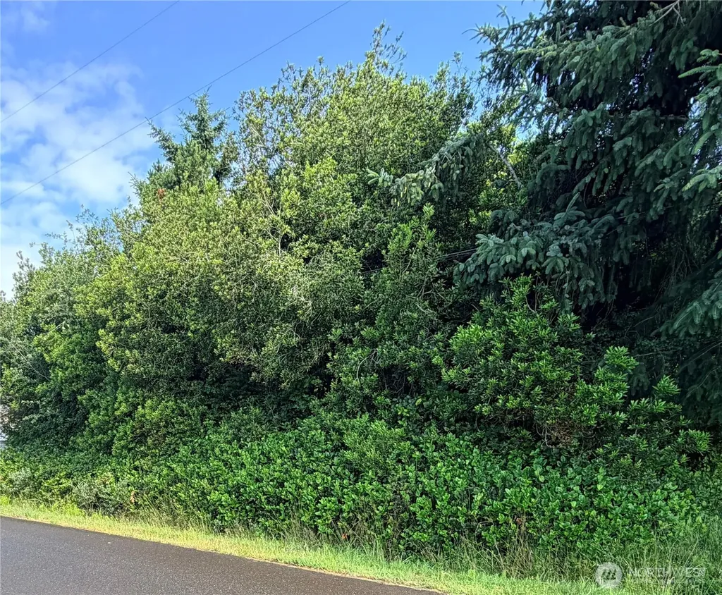 582 Ensign Avenue NW Ocean Shores WA 98569