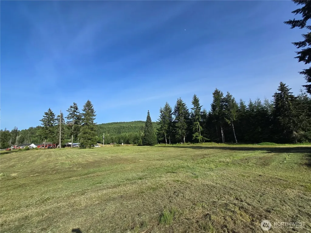 0 W Satsop Road E Elma WA 98541