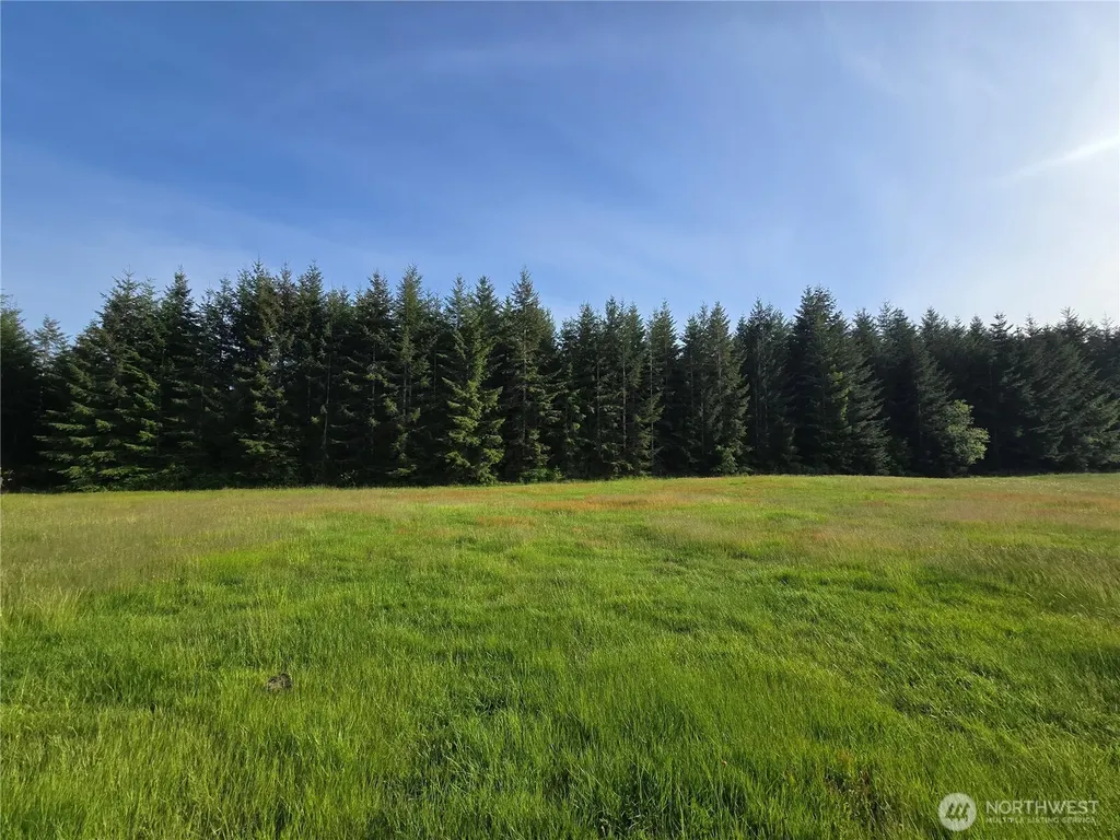 0 W Satsop Road E Elma WA 98541