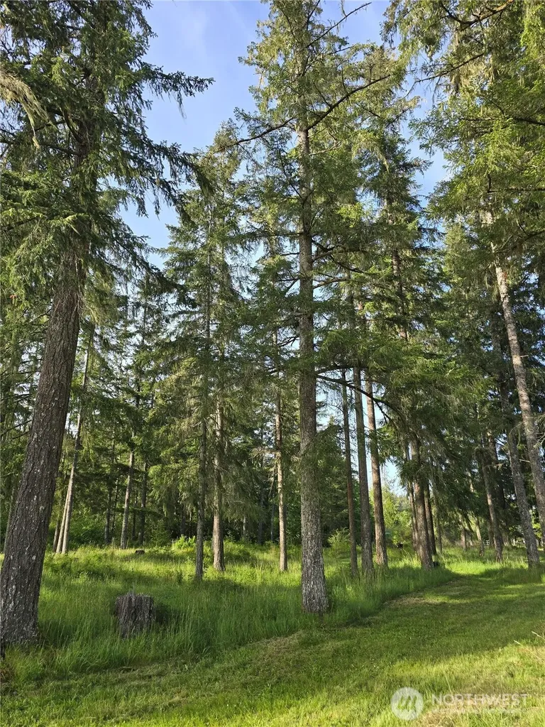 0 W Satsop Road E Elma WA 98541