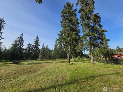 0 W Satsop Road E Elma WA 98541