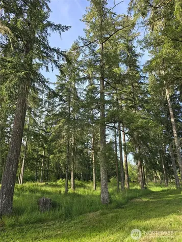 0 W Satsop Road E Elma WA 98541