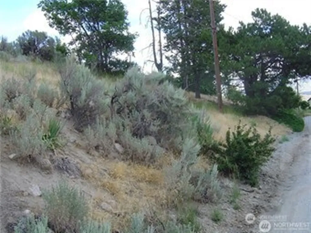 0 Riverview Cemetery Road Chelan WA 98816