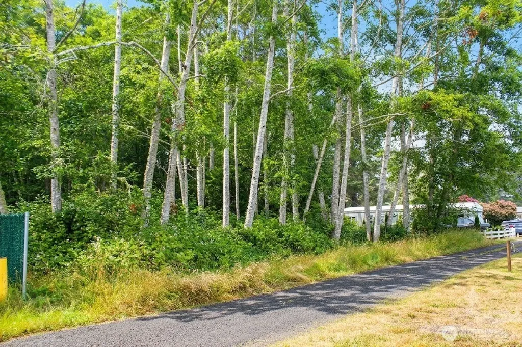10516 Pacific Way Long Beach WA 98631