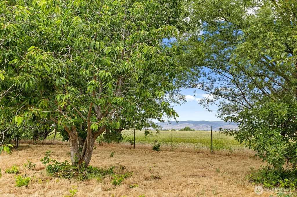 191 Mccoy Drive Ellensburg WA 98926