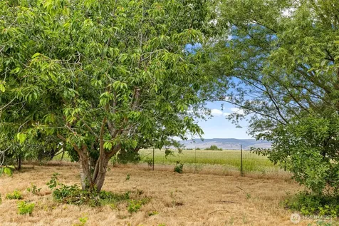 191 Mccoy Drive Ellensburg WA 98926