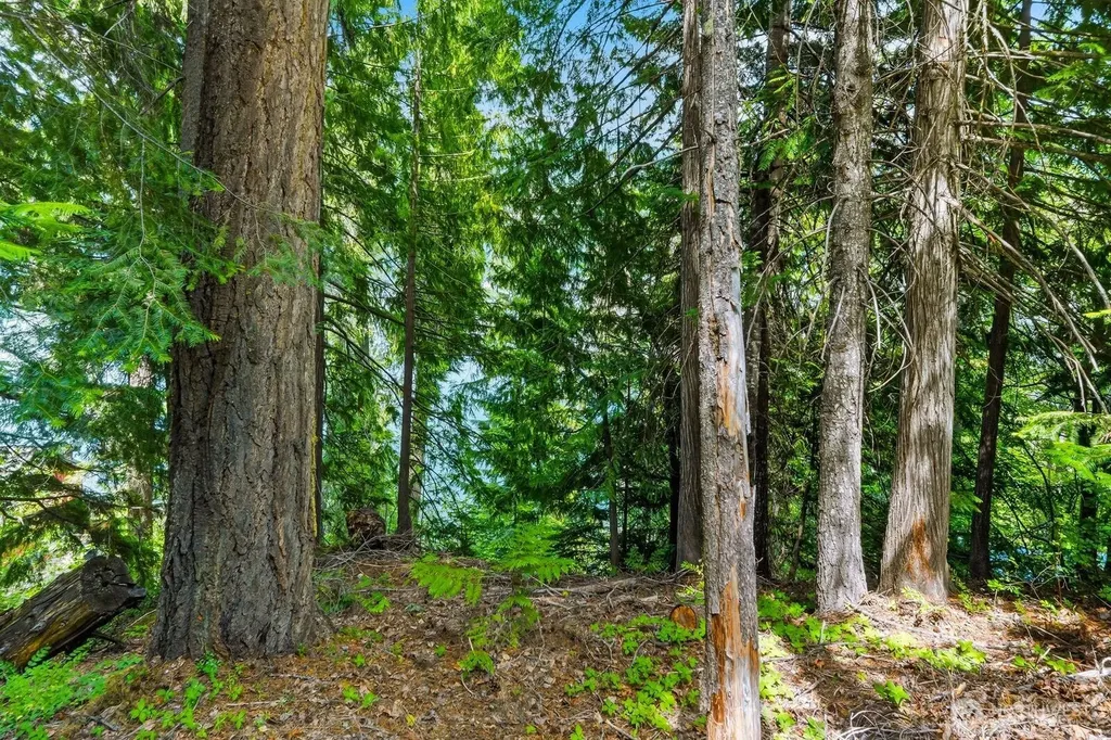 0 Cedar Brae Road Lake Wenatchee WA 98826