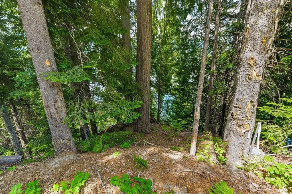 0 Cedar Brae Road Lake Wenatchee WA 98826