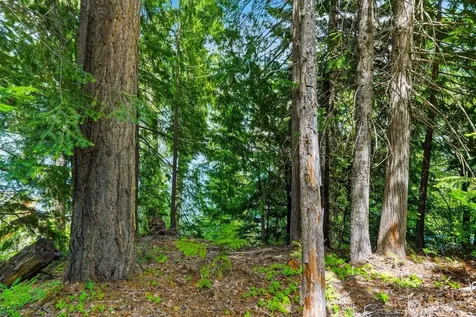 0 Cedar Brae Road Lake Wenatchee WA 98826