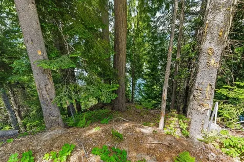 0 Cedar Brae Road Lake Wenatchee WA 98826