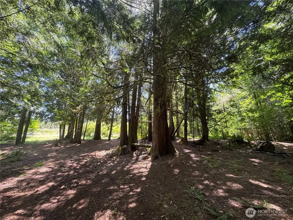 121 W Carman Road N Shelton WA 98584