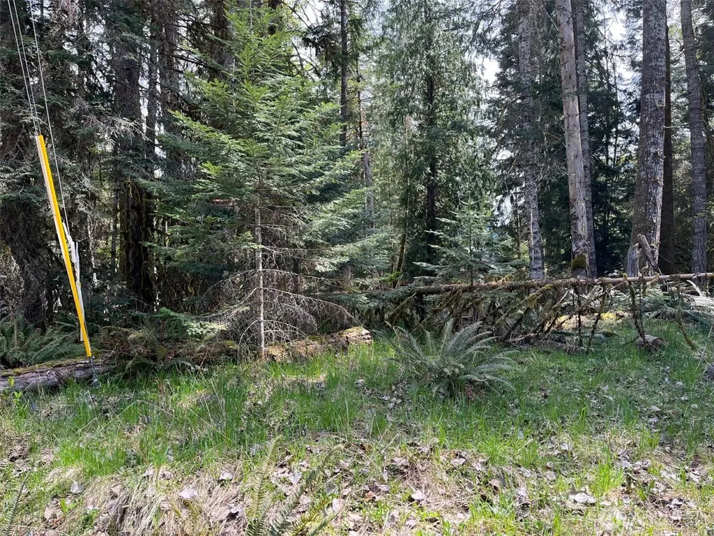 56919 384th Avenue Ct E Ashford WA 98304