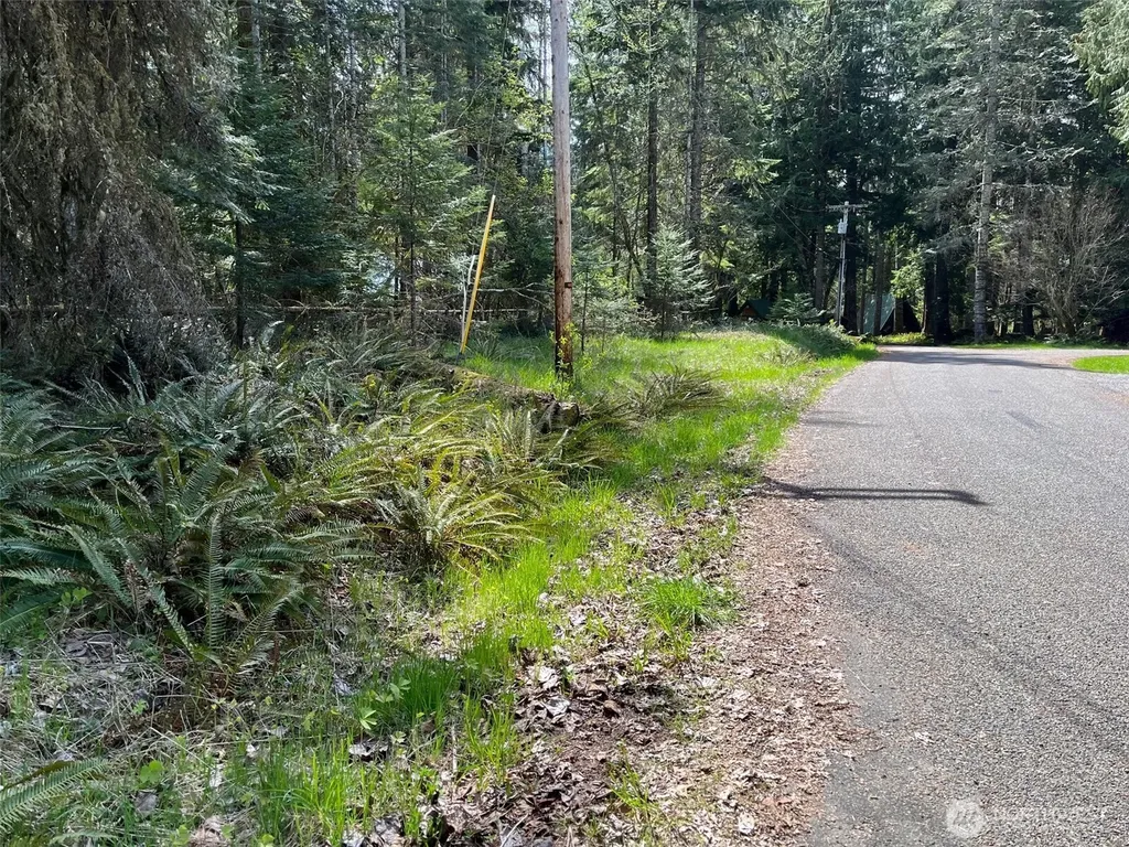 56919 384th Avenue Ct E Ashford WA 98304