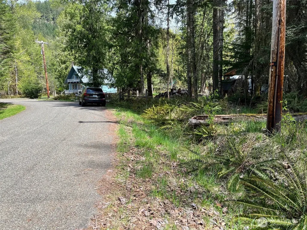 56919 384th Avenue Ct E Ashford WA 98304