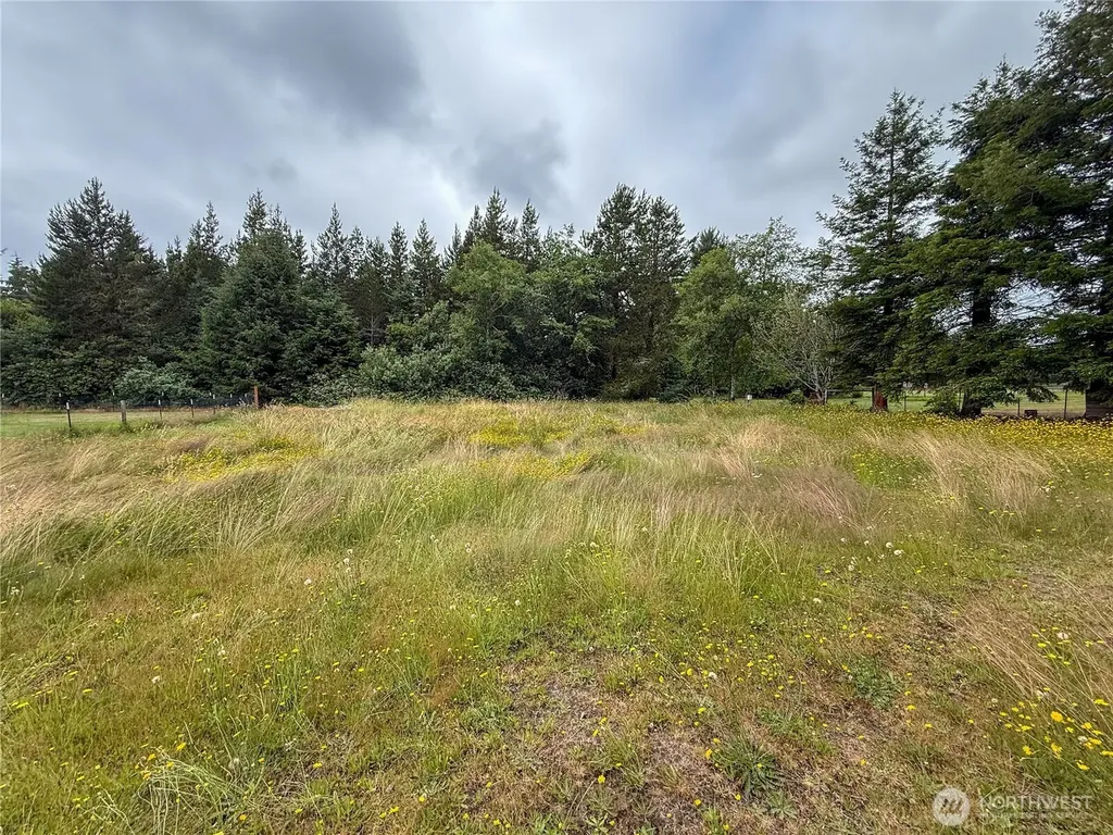 10607 Sandridge Road Long Beach WA 98631