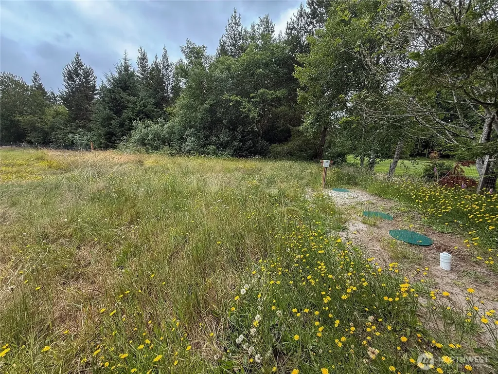 10607 Sandridge Road Long Beach WA 98631