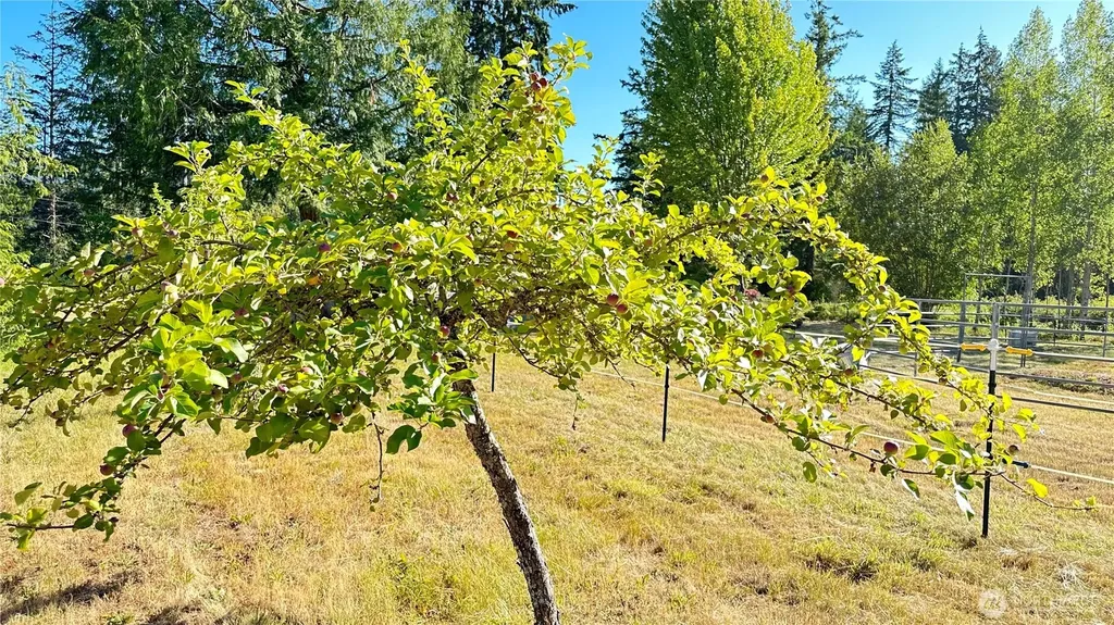 11 E Michigan School Road Sequim WA 98382