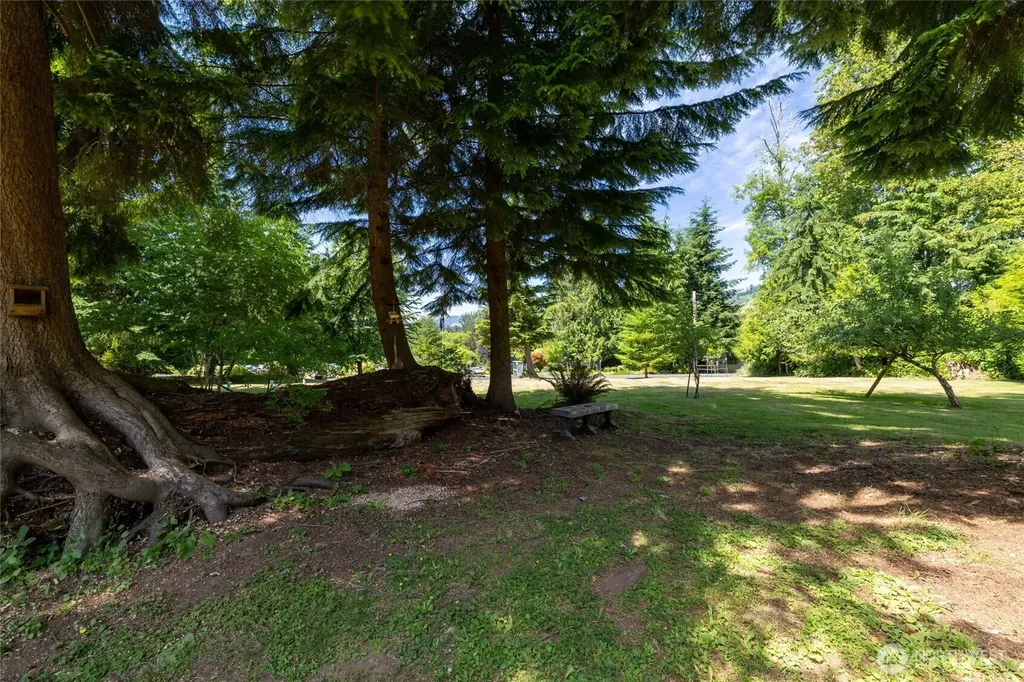 107 Skyview Drive Mossyrock WA 98564