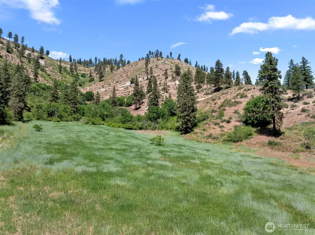 82 Karl Downs Lane Cashmere WA 98815