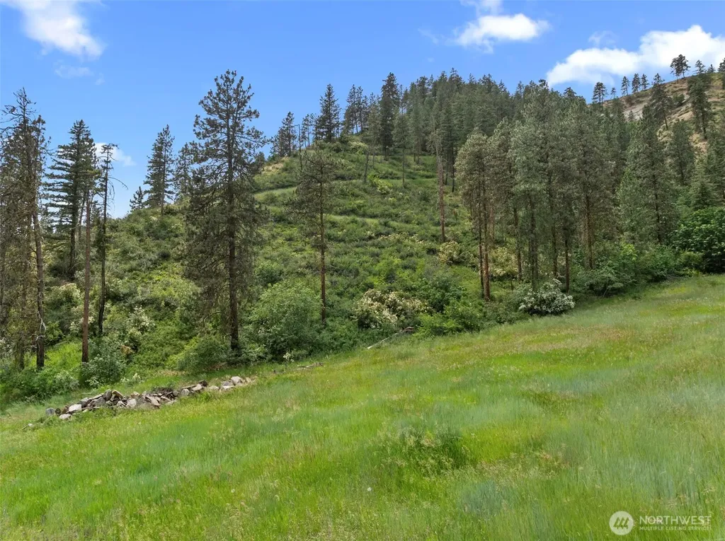 82 Karl Downs Lane Cashmere WA 98815