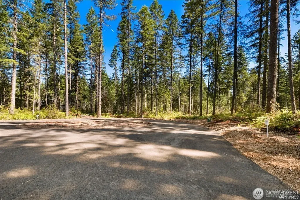 24 W Clear Lake Drive Shelton WA 98584