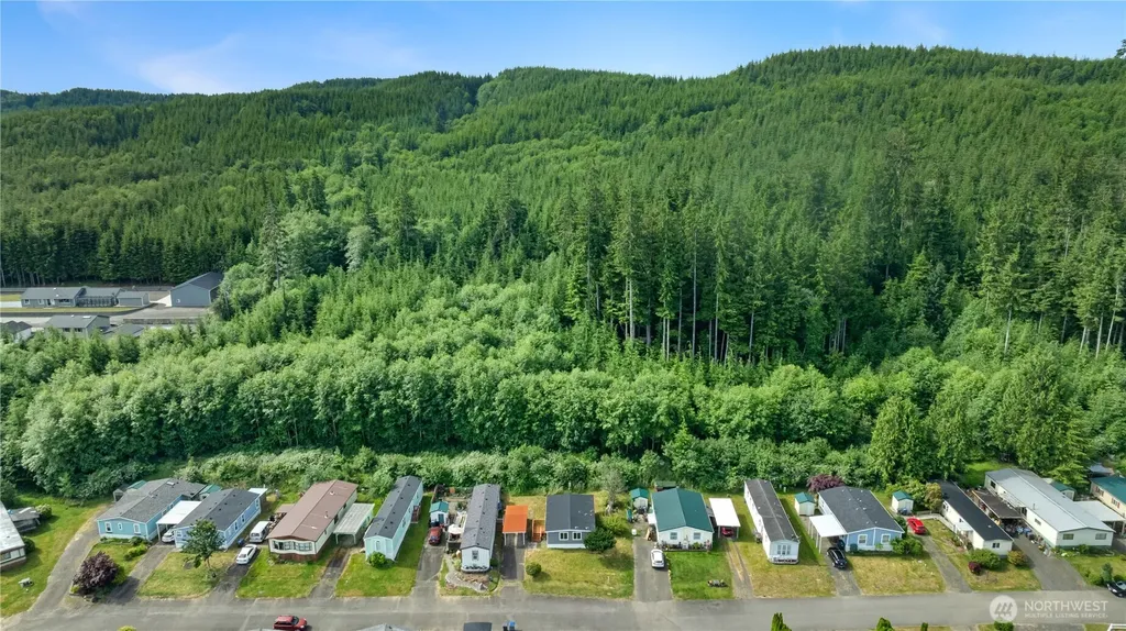 1019 Standford Drive Cosmopolis WA 98537