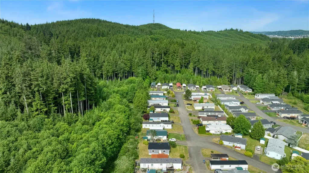 1019 Standford Drive Cosmopolis WA 98537