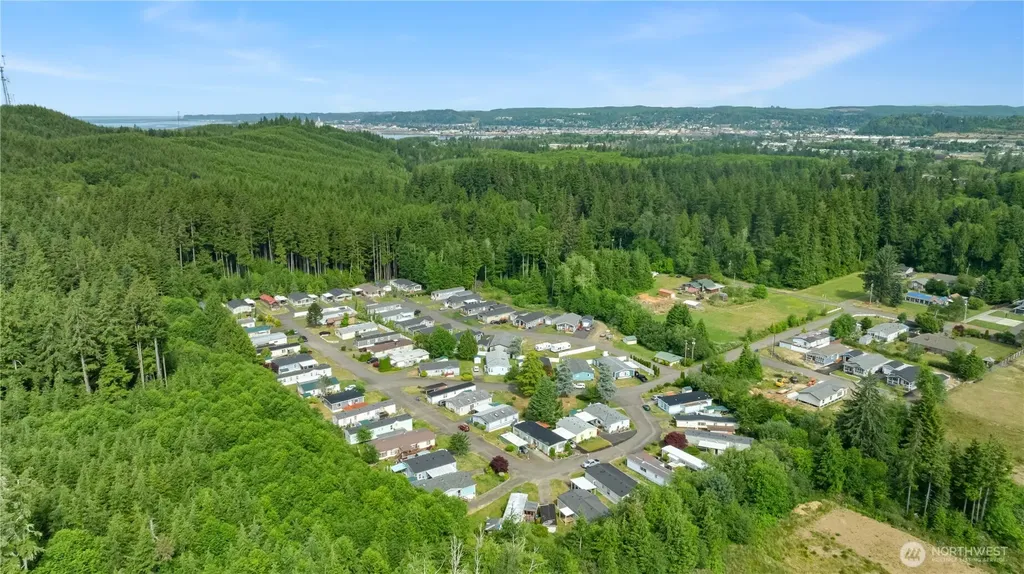 1019 Standford Drive Cosmopolis WA 98537