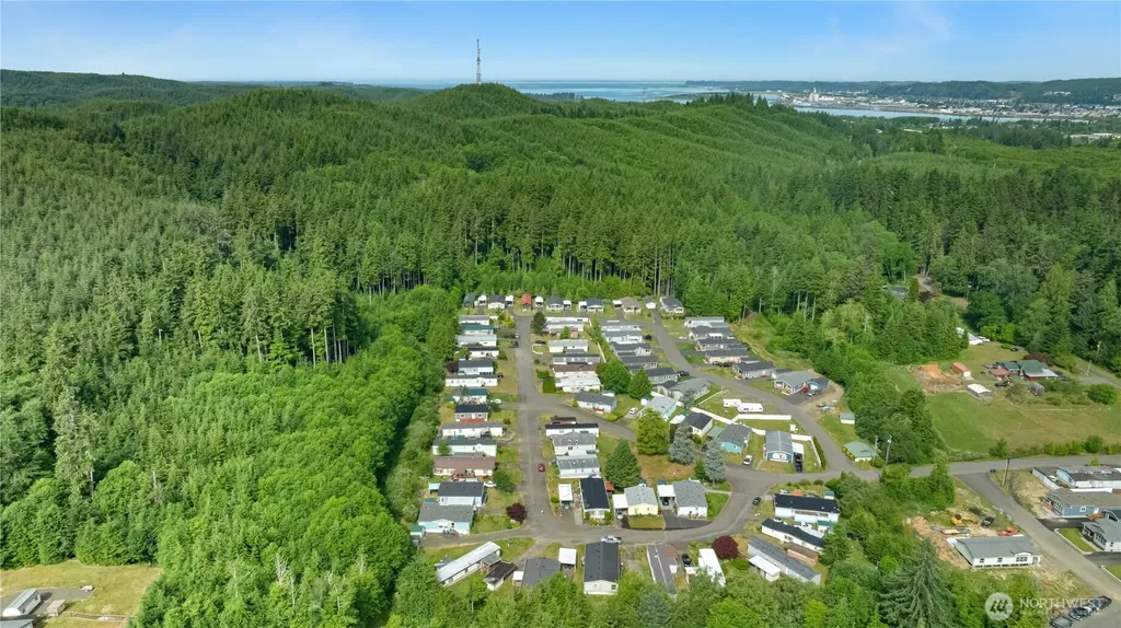 1019 Standford Drive Cosmopolis WA 98537