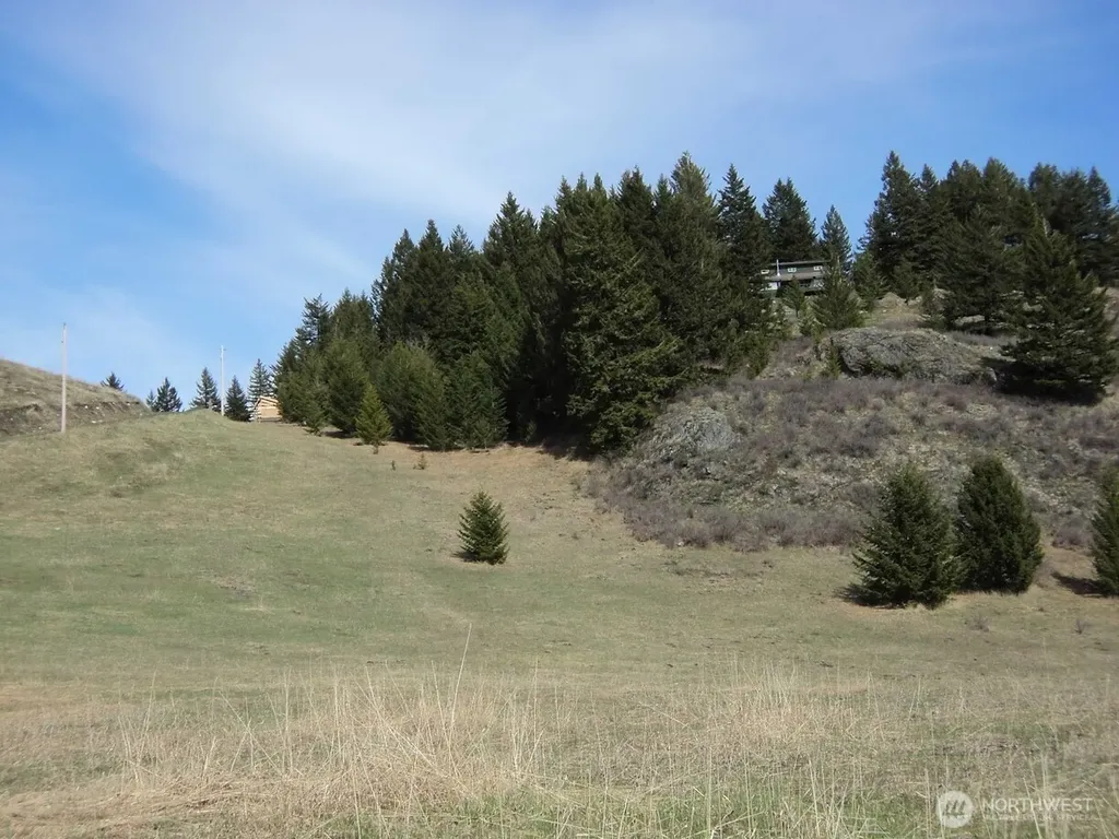 302 Davies Road Oroville WA 98844
